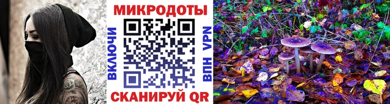 Псилоцибиновые грибы Cubensis  купить   Михайлов 